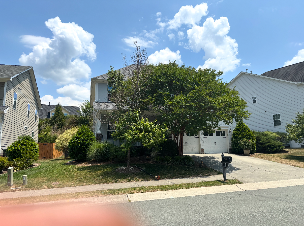 Front yard before tree work, with two mature trees crowding the home's facade